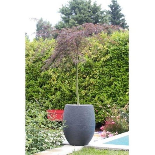 Pot Rond EDA Egg Graphit 53L Ø50x60cm Gris Antracite