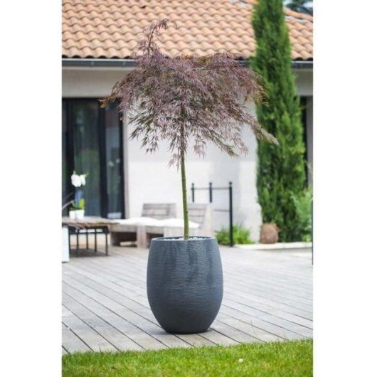 Pot Rond EDA Egg Graphit 53L Ø50x60cm Gris Antracite