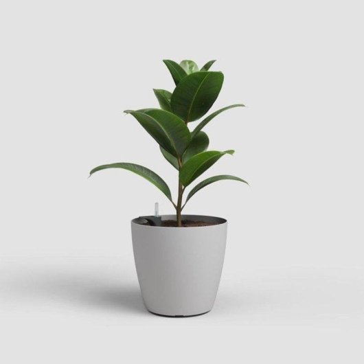 Jardinière Artevasi San Remo SWS 36 MA Ronde 25L Auto-arrosage Gris Clair