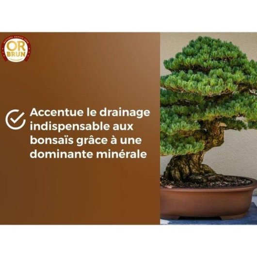 Bonsai-Substrat OR Brun 6L mit Puzzolana - Sofort Verwendbar