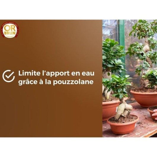 Bonsai-Substrat OR Brun 6L mit Puzzolana - Sofort Verwendbar