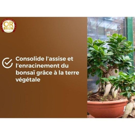 Bonsai-Substrat OR Brun 6L mit Puzzolana - Sofort Verwendbar