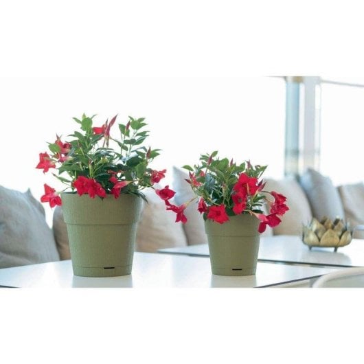 Vaso da giardino Stefanplast Ethica verde oliva riserva acqua 2L Ø40