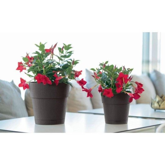 Vaso da giardino Stefanplast Ethica verde oliva riserva acqua 2L Ø40