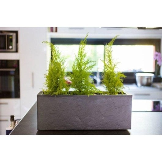Giardiniere EDA Volcania Up Rettangolare 25L Grigio Antracite