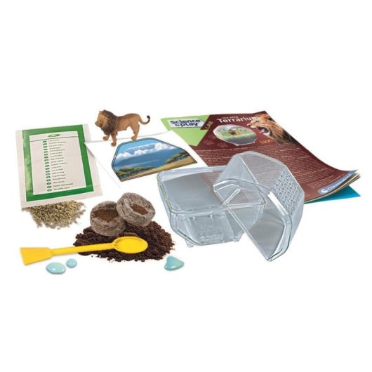 Kit Educativo Clementoni Mini Terrario León 7+ con Semillas y Figurita