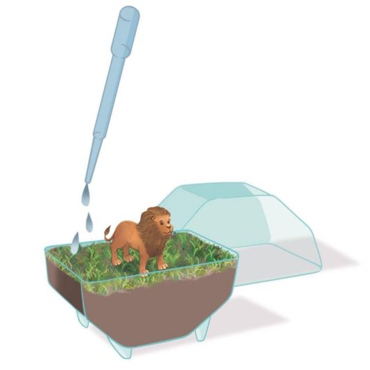 Kit Educativo Clementoni Mini Terrario León 7+ con Semillas y Figurita