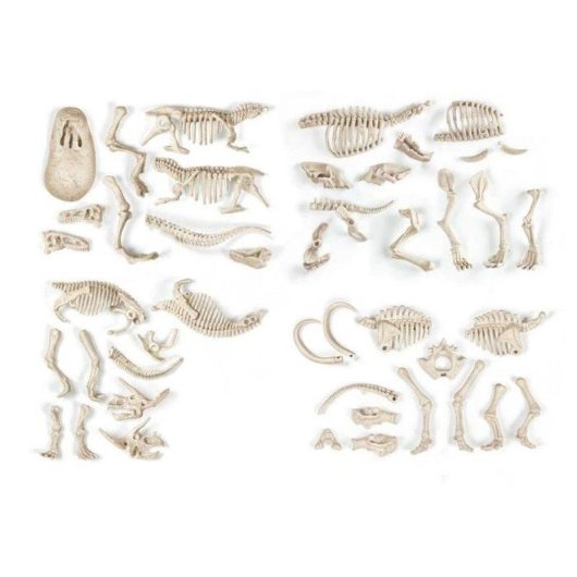 Kit de ciencia paleontológica Clementoni Archéo Ludic Proies y Predadores 4 fósiles fosforescentes