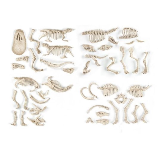 Kit de ciencia paleontológica Clementoni Archéo Ludic Proies y Predadores 4 fósiles fosforescentes