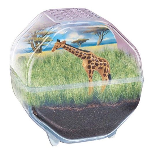 Kit de ciencia educativo Clementoni Mini Terrario Girafe 7+