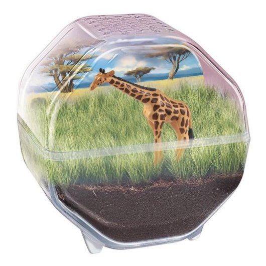Kit de ciencia educativo Clementoni Mini Terrario Girafe 7+