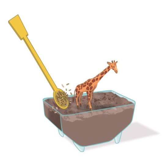 Kit de ciencia educativo Clementoni Mini Terrario Girafe 7+