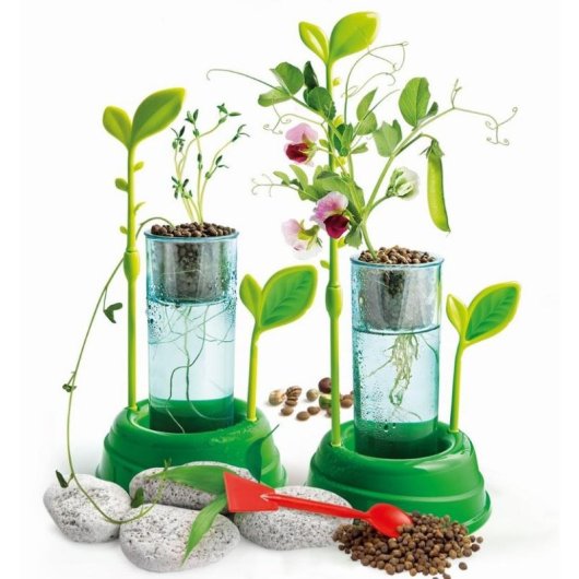 Kit Educativo Hidroponia Clementoni Botanics & Hydroponics Sem Solo (8+)