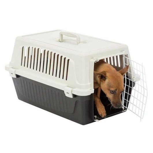 Transportín Ferplast Atlas 10EL para Gatos y Perros Pequeños 48 x 32,5 x 29 cm
