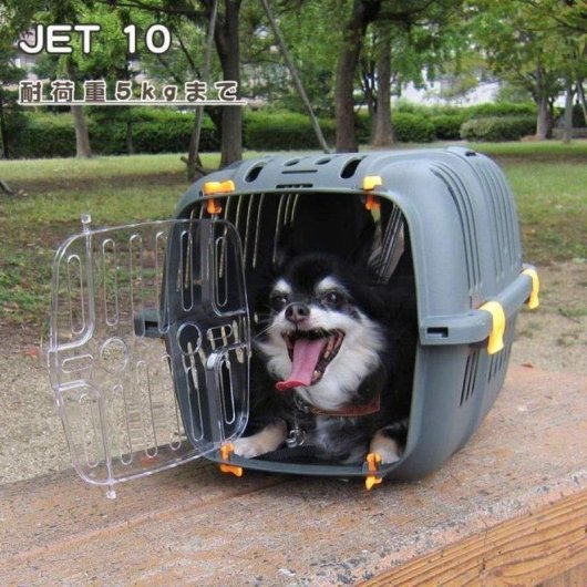 Trasportino Ferplast Jet 10 per gatti e cani piccoli - 32x47x29 cm, fino a 5 kg