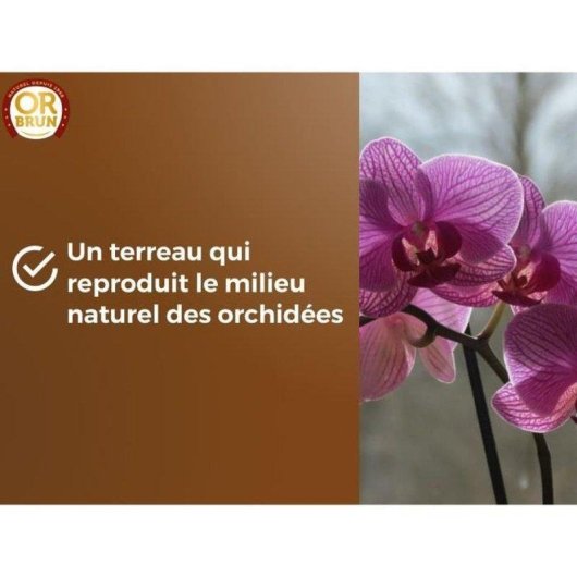 Sustrato para Orquídeas OR BRUN 6 L Biodegradable