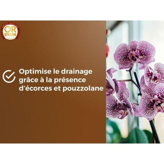 Sustrato para Orquídeas OR BRUN 6 L Biodegradable