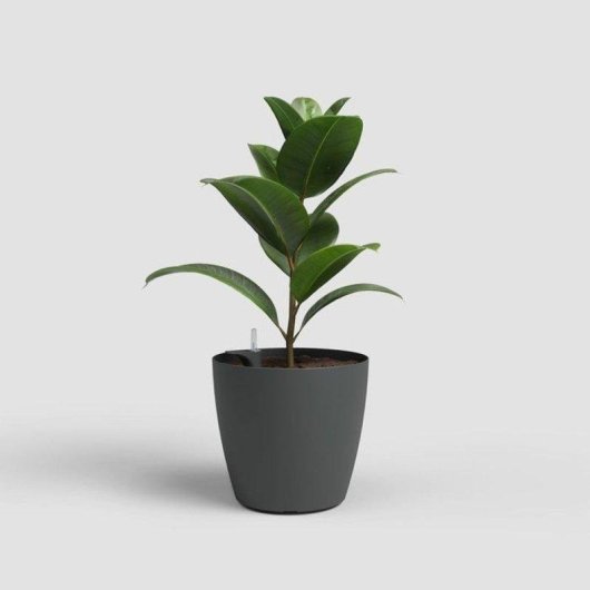Jardinière Auto-ruisselante Artevasi San Remo SWS 42 MA 43,3 cm Gris Anthracite