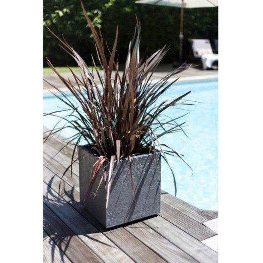 Bac à fleurs carré EDA Graphit 49,5 x 49,5 x 49,5 cm 57 L Gris Antracite