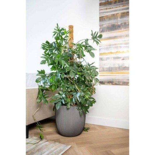 Macetero esférico Capi Groove NL 43 x 41 cm antracita polietileno reciclado
