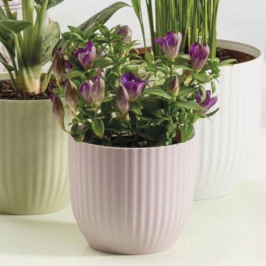 Jardinière ronde Deroma 231 Rosa Blush 7 L Ø24 cm