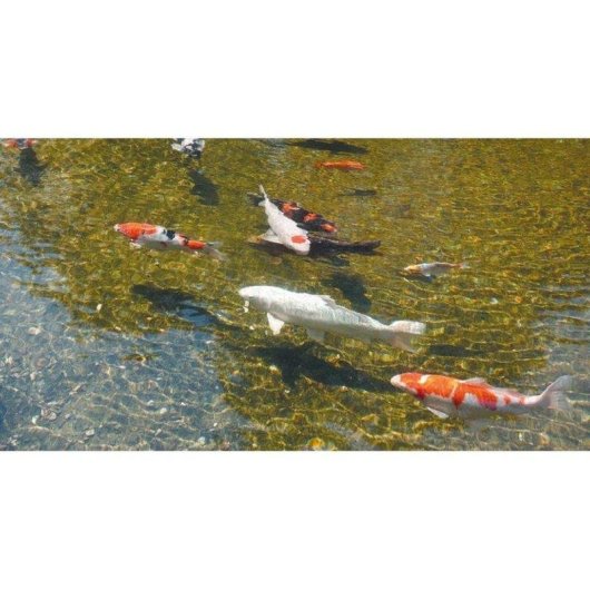 Clarificador de estanque Ubbink AlgClear 20000 UV-C 18W 20.000 litros