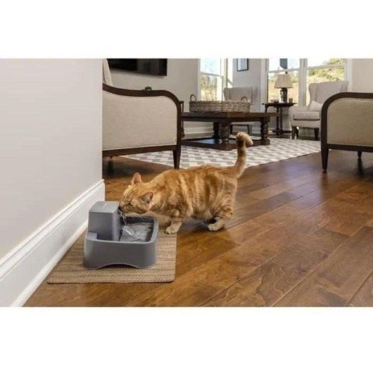 Fontaine à eau PetSafe Drinkwell 1,8L sans BPA pour chats et petits chiens
