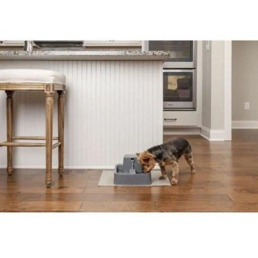 Fontaine à eau PetSafe Drinkwell 1,8L sans BPA pour chats et petits chiens