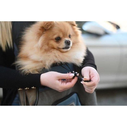 Saco de transporte frontal Kerbl Vacation para mascotas hasta 8 kg con malla y reflectantes