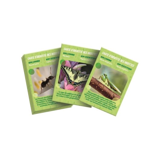 Clementoni La Maison des Insectes Kit Hábitat Portátil Observación Insectos 7+