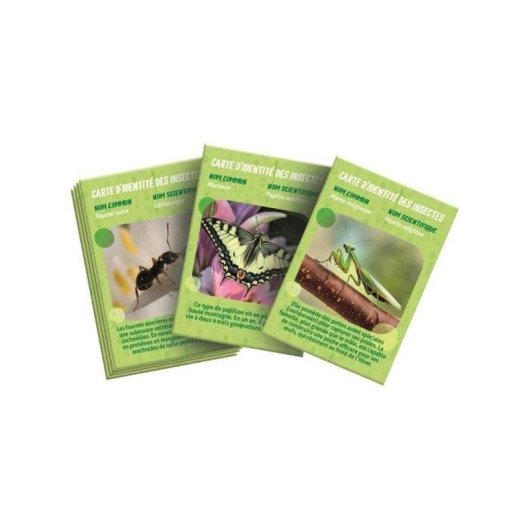 Clementoni La Maison des Insectes Kit Hábitat Portátil Observación Insectos 7+