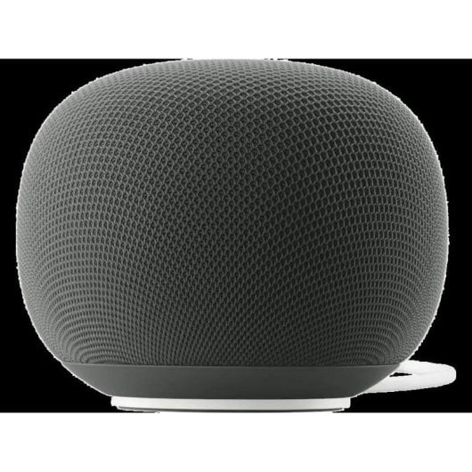Altoparlanti Google Home Intelligenti Wi-Fi 6 30W con Bluetooth e voce