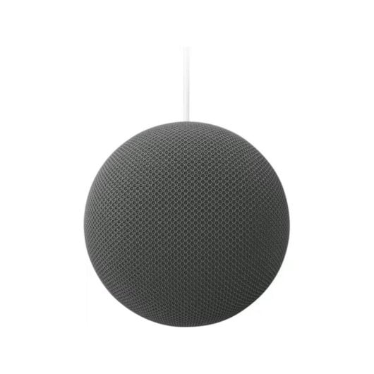 Altoparlanti Google Home Intelligenti Wi-Fi 6 30W con Bluetooth e voce