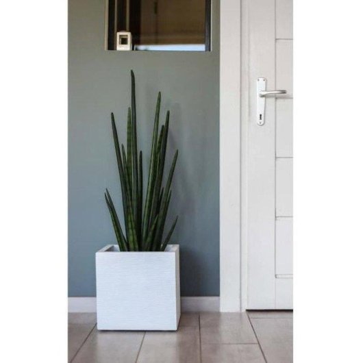 Bac à Fleurs EDA Graphit Up 21 L Blanc Cerusé 30x30x30 cm Plastique Mate Anti-UV