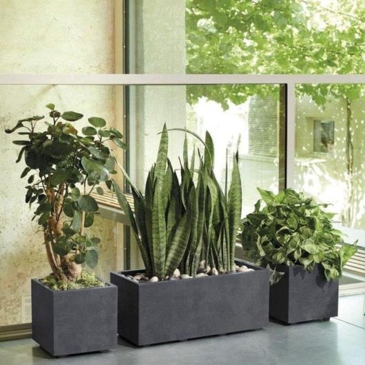Jardinière Deroma Cube Millennium R Carrée 10 L Antracite