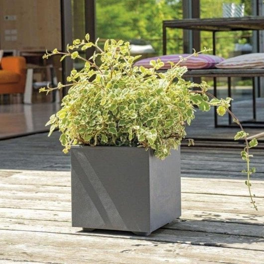 Jardinière Deroma Cube Millennium R Carrée 10 L Antracite