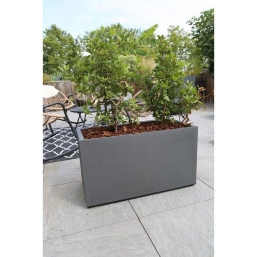Jardinière Rectangulaire Extérieure Riviera Granit 60x30 cm Gris 33 L