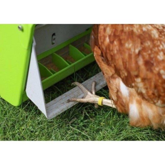 Comedero Automático Kerbl Smartcoop Gallinas Adultas 7,5 Kg Plástico Resistente
