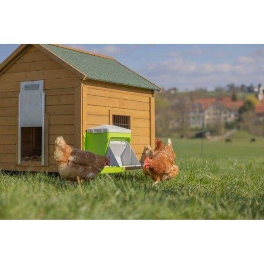 Comedero Automático Kerbl Smartcoop Gallinas Adultas 7,5 Kg Plástico Resistente