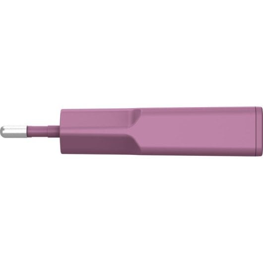 Cargador USB-C InLine 31590P 30W GaN Power Delivery 2 Puertos Fruta del bosque