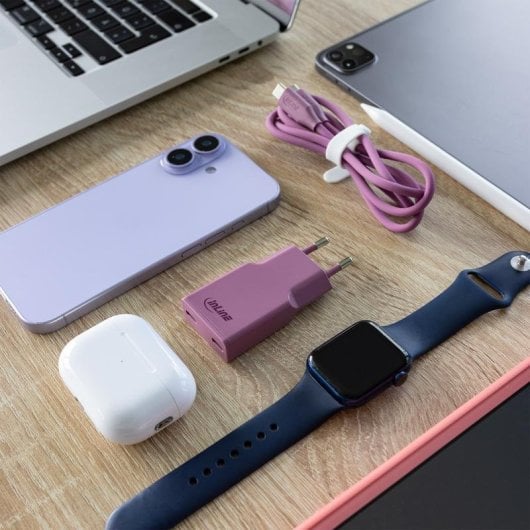 Cargador USB-C InLine 31590P 30W GaN Power Delivery 2 Puertos Fruta del bosque