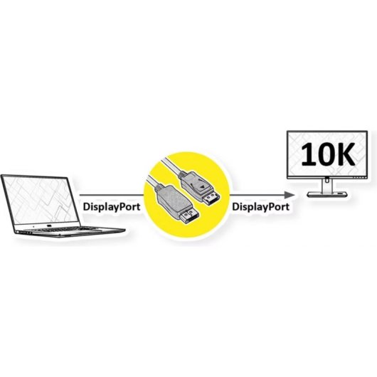 DisplayPort 2.0 Kabel Roline 10K 1 m