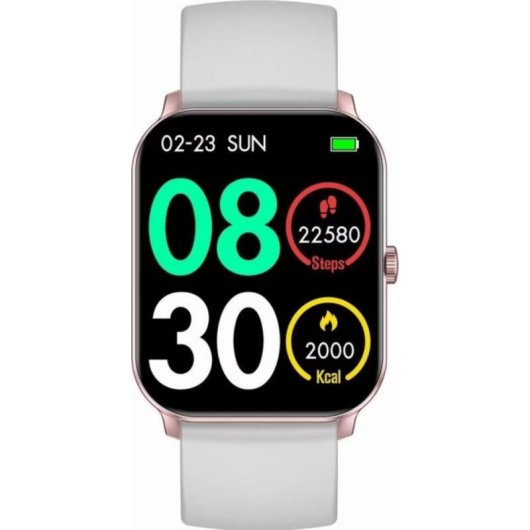 Gravity GT36-2 Bluetooth GPS 45mm Roségold Correa Gris IP68