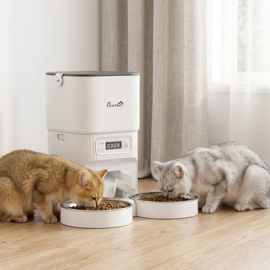 Pawhut Comedero Gato Automático 4l 1-6 Comidas Al Día 2 Cuencos Antiatascos