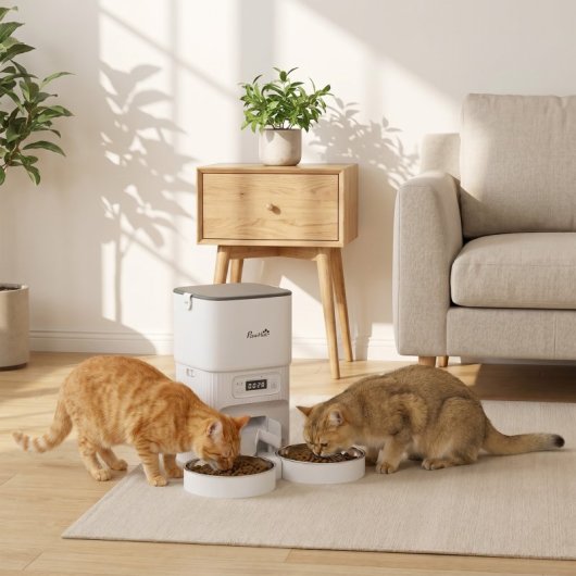 Pawhut Comedero Gato Automático 4l 1-6 Comidas Al Día 2 Cuencos Antiatascos