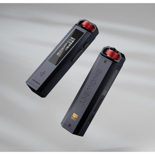 Reproductor de música Hi-Res FiiO Snowsky ECHO NANO Negro