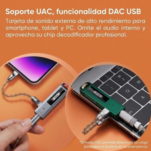 Reproductor de música Hi-Res FiiO Snowsky ECHO NANO Negro
