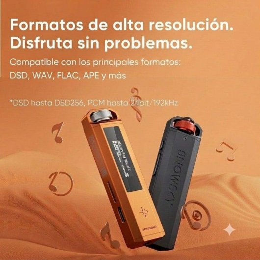 Reproductor de música Hi-Res FiiO Snowsky ECHO NANO Negro