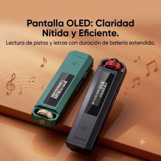 Reproductor de música Hi-Res FiiO Snowsky ECHO NANO Negro