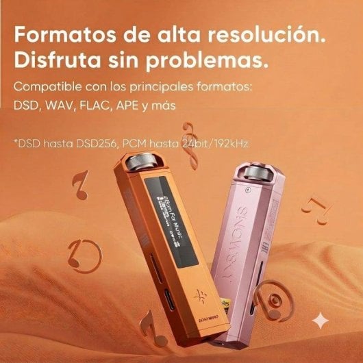 Lettore Hi-Res FiiO Snowsky ECHO NANO Rosa